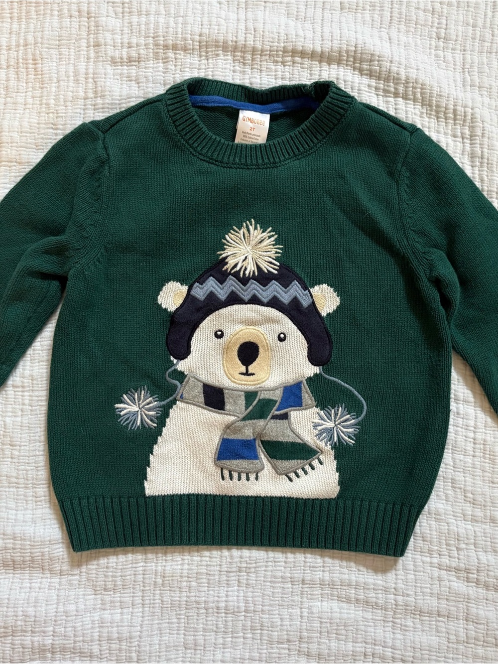 Gymboree Green Bear Crewneck Sweater